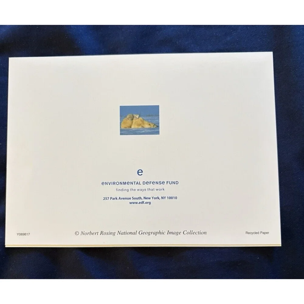 Generic Card with White Envelope | Polar Bear With Baby design by EDF
